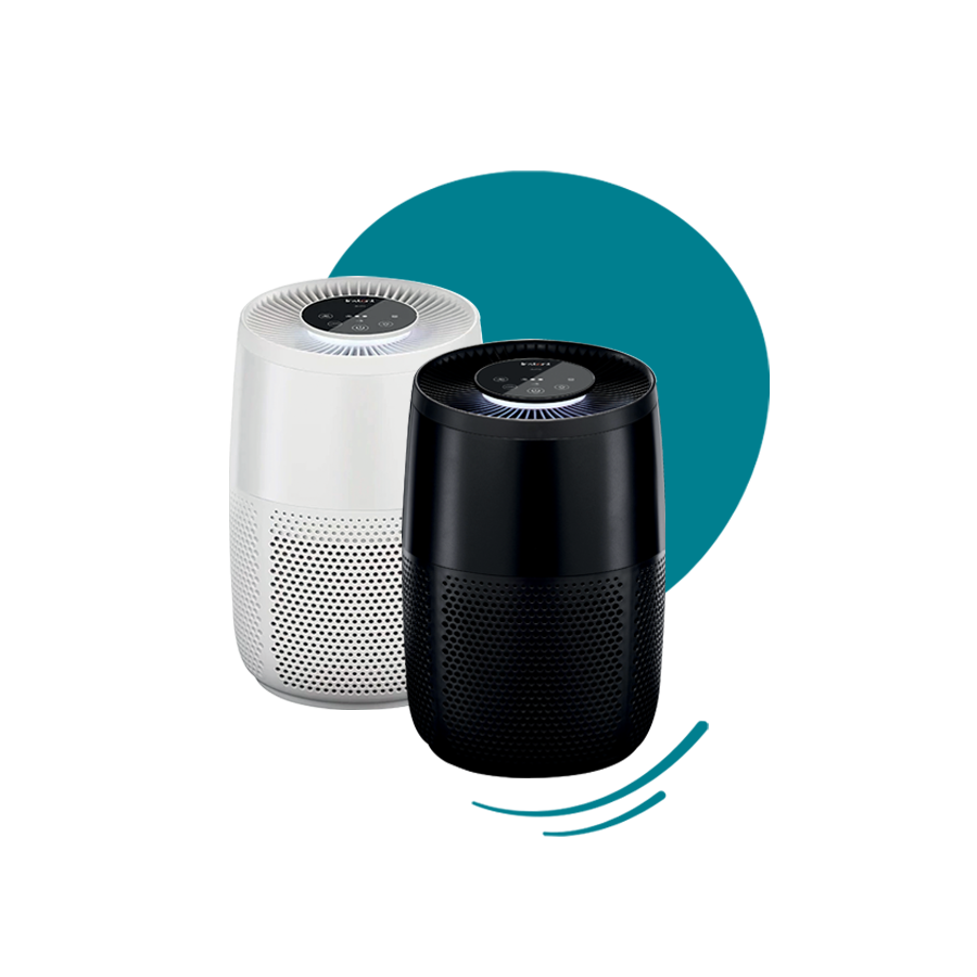 AirPurifier 100